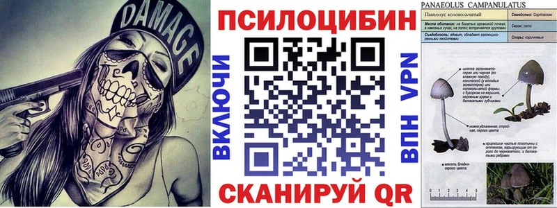 Галлюциногенные грибы мицелий  Серафимович 